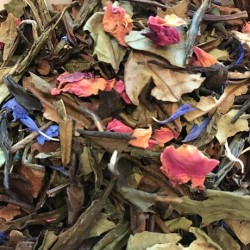 Gourmandise des Tropiques