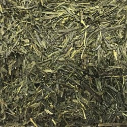Sencha Uji