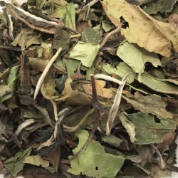 Bai Mu Dan  BIO