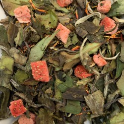 Corail des Caraïbes 2