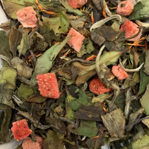 Corail des Caraïbes