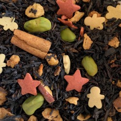 Etoile de noël