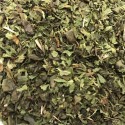 Menthe
