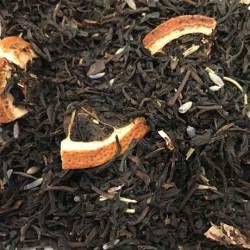 Mélodie des cigales